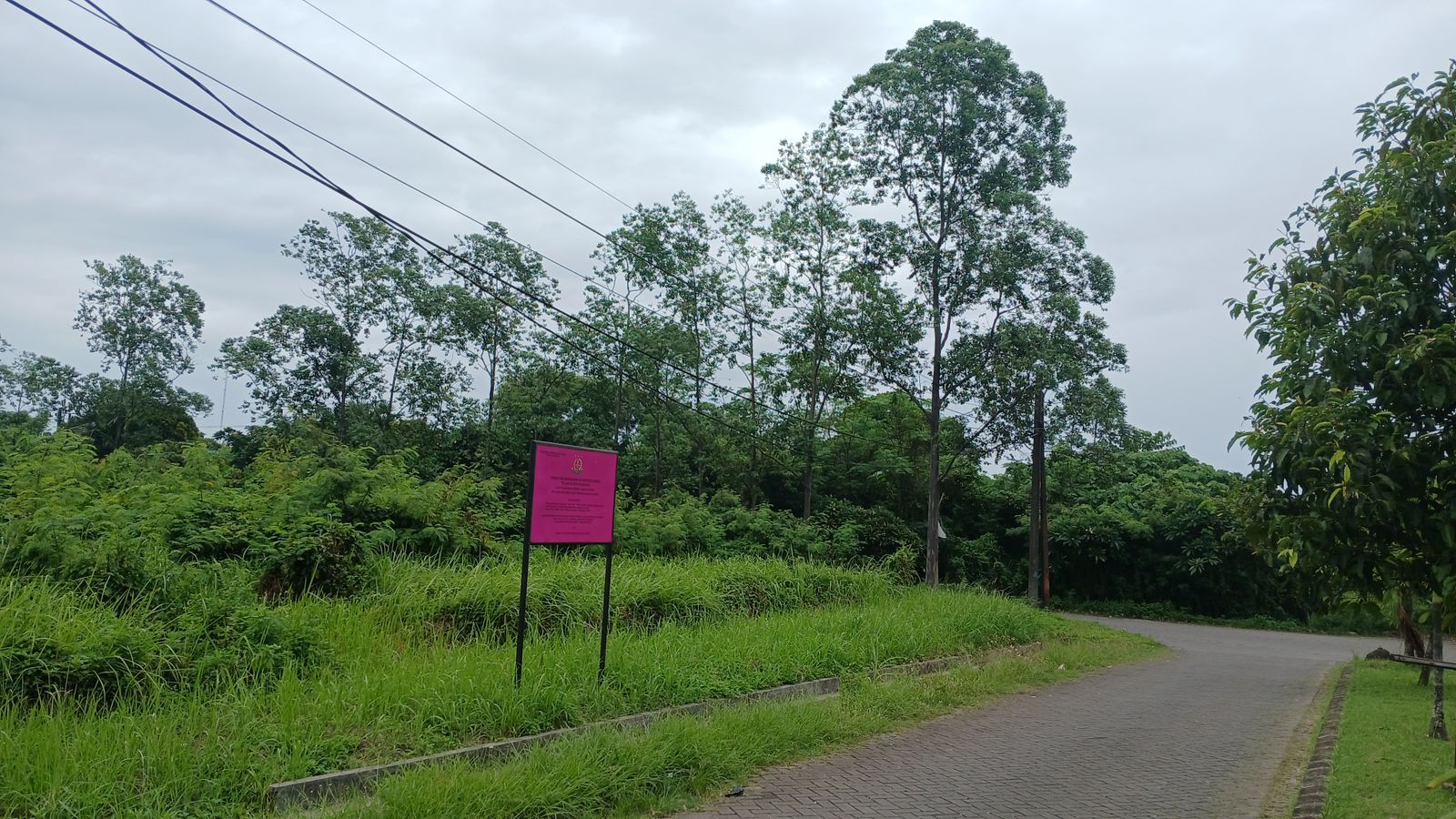 IMG-20250831-WA0208