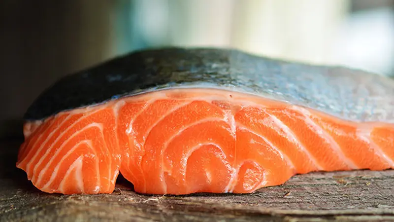 Ilustrasi ikan salmon (Sumber: Pixabay/congerdesign)